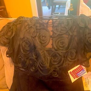 Beautiful Black Dressy dress with shirt sleeve.  Beautiful lace around top